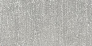 Metallic Silver