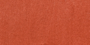 Cinnamon