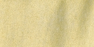 Aztec Gold