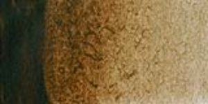 Burnt Umber