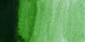 Hooker's Green