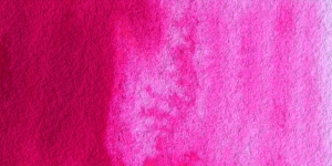 Opera Rose