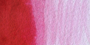 Permanent Rose