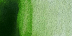 Permanent Sap Green