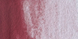 Potter's Pink