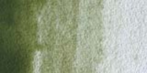 Terre Verte (Yellow Shade)
