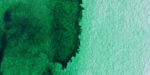 Winsor Green (Yellow Shade)
