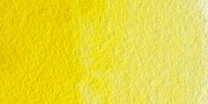 Winsor Yellow