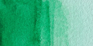 Bamboo Green