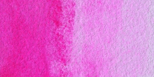 Bright Rose