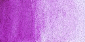 Bright Violet