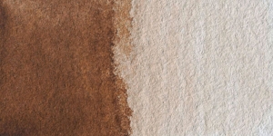 Burnt Umber