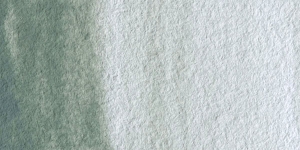 Davy's Gray