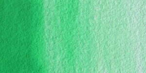 Emerald Green Nova