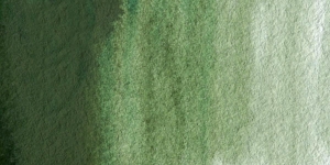 Green Gray