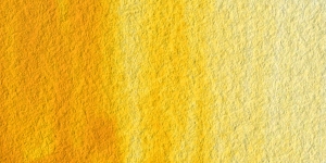 Gamboge Nova