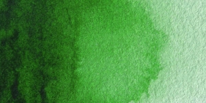 Hooker's Green