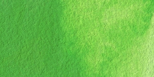 Permanent Green #1