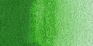 Permanent Green #2