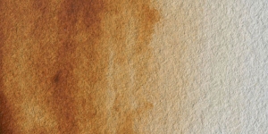 Raw Umber