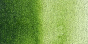 Sap Green