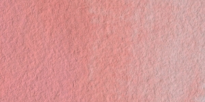 Shell Pink