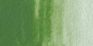 Terra Verte