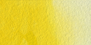 Aureolin Modern