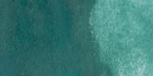 Cobalt Green Dark