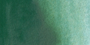 Hooker's Green
