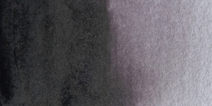 Neutral Tint