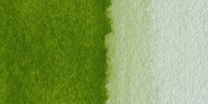 Olive Green Yellowish