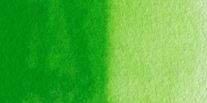 Permanent Green