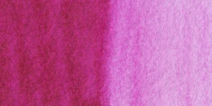 Purple Magenta