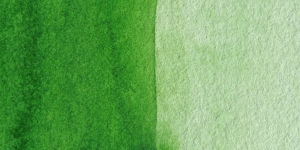 Sap Green