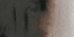 Sepia Brown Tone