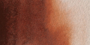 Translucent Brown
