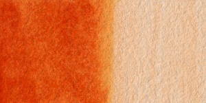 Translucent Orange