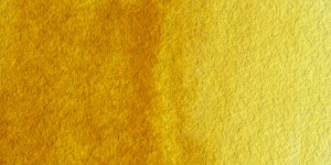 Translucent Yellow