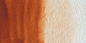 Burnt Sienna