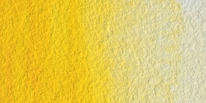 Cadmium Yellow Hue