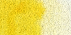 Cadmium Yellow Pale Hue