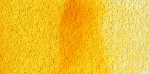 Gamboge Hue