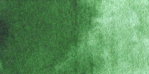 Hooker's Green Light