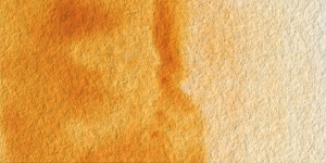 Raw Sienna