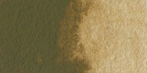 Raw Umber