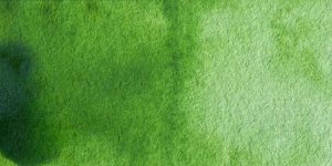 Sap Green