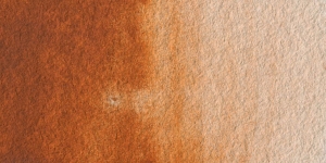 Burnt Sienna