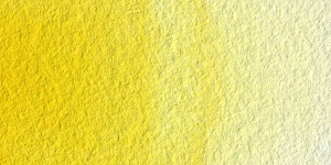Azo Yellow Medium