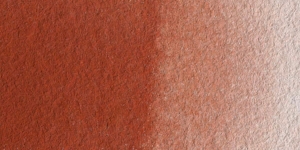 Burnt Sienna